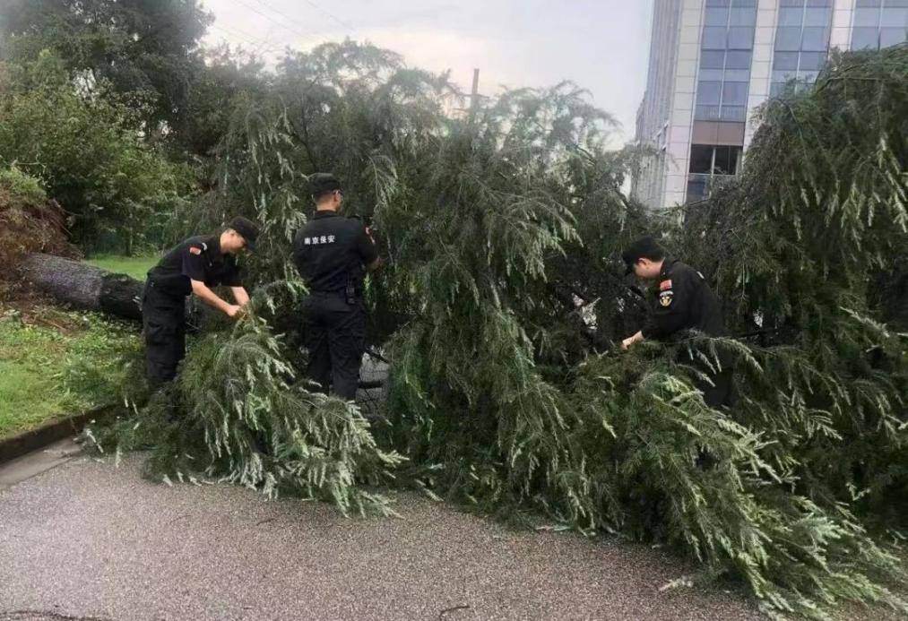 C:/Users/BA/Desktop/風(fēng)雨過后南京保安迅速行動，恢復(fù)安“寧”面貌/1.jpg1